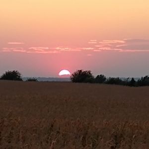 Meet your Posher, Troy